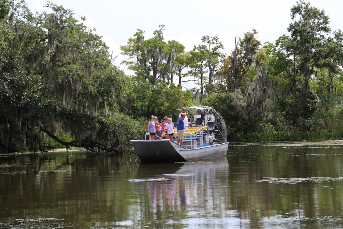 Swamp tour